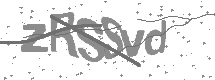 visual captcha